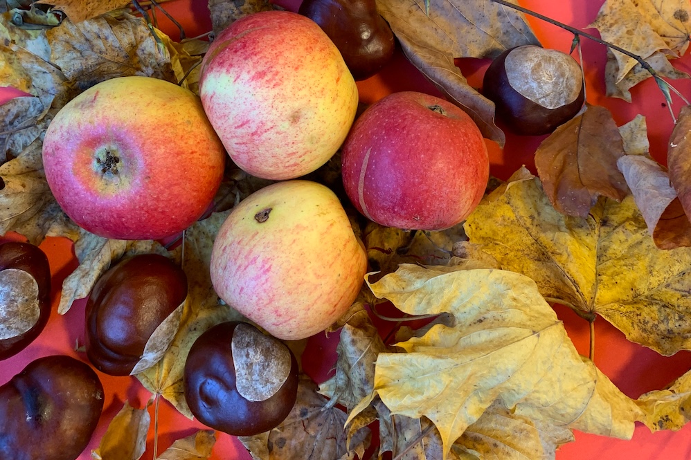 2025-11-14 Eltern-und-Großelterncafé